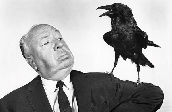 BBC sta lavorando al remake di The Birds Alfred Hitchcock con un corvo sulla spalla