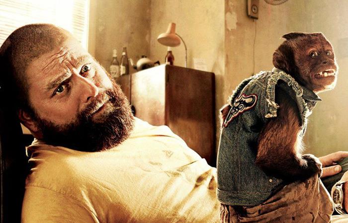 Zach Galifianakis alias Alan Garner in Una notte da leoni 2 Zach Galifianakis alias Alan Garner in Una notte da leoni 2