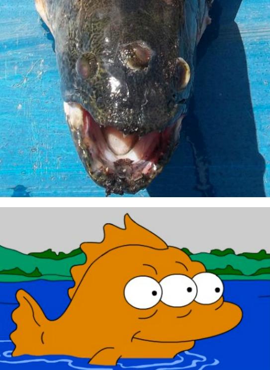 5 volte in cui i Simpson hanno predetto il futuro! - 2