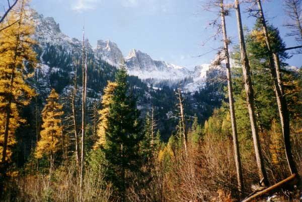 5 cose da vedere a Wayward Pines - 2