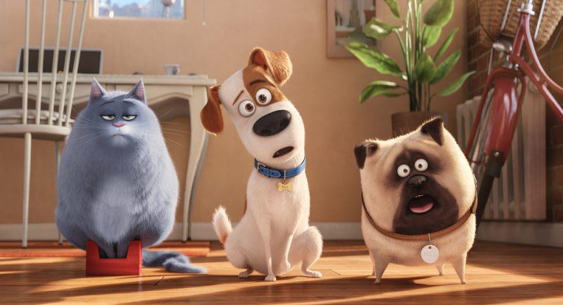 I protagonisti di Pets 2 - Vita da animali Pets 2 - Vita da animali scena