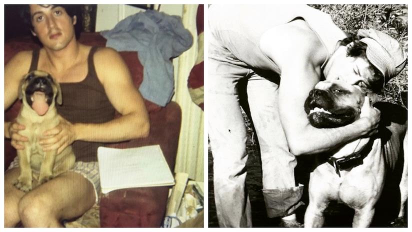 Sylvester Stallone ricorda il suo cane su Instagram Le immagini di Sylvester Stallone con Butkus