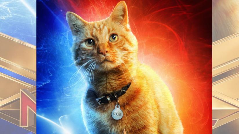 Captain Marvel: applausi per Goose il gatto e (forse) un nuovo promo venerdì Poster di Captain Marvel dedicato a Goose