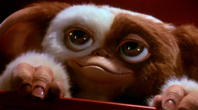 La possibile trama di Gremlins 3 Il piccolo Gizmo