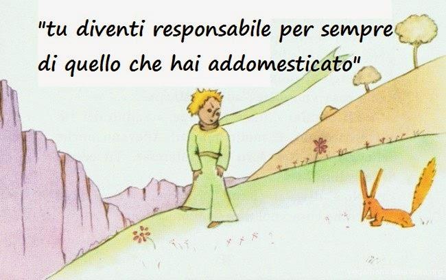 Il piccolo principe Un'immagine del Piccolo principe