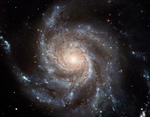 Una galassia spirale Un'immagine di una galassia a spirale