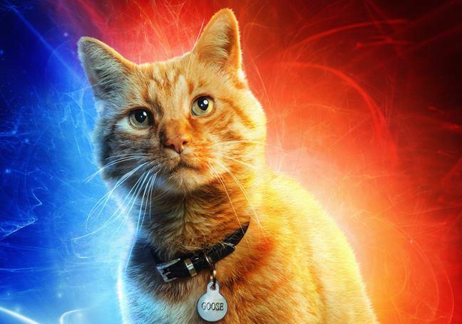 Il gatto Goose di Captain Marvel, molto più pericoloso di quanto sembri Character poster di Captain Marvel dedicato a Goose