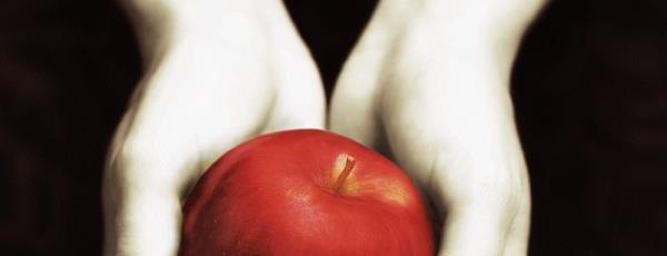 Twilight Copertina di Twilight