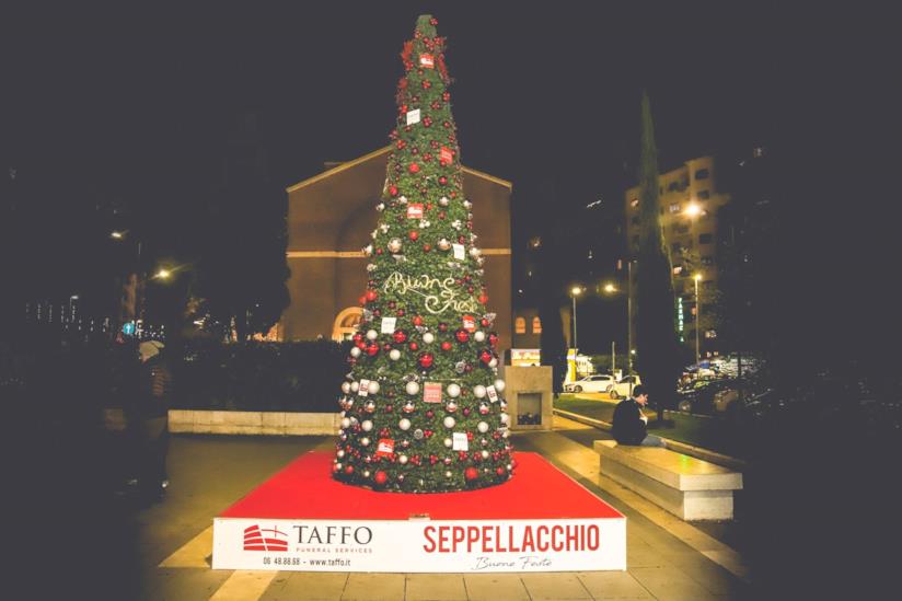Taffo si schiera con il WWF per proteggere gli alberi: a Roma c'è Seppellacchio Seppellacchio, l'albero di Natale di Taffo a Roma