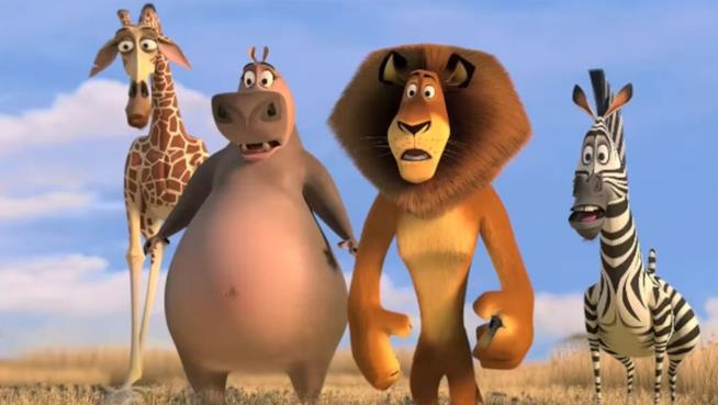 Madagascar 2: personaggi e doppiatori italiani Madagascar 2 i personaggi