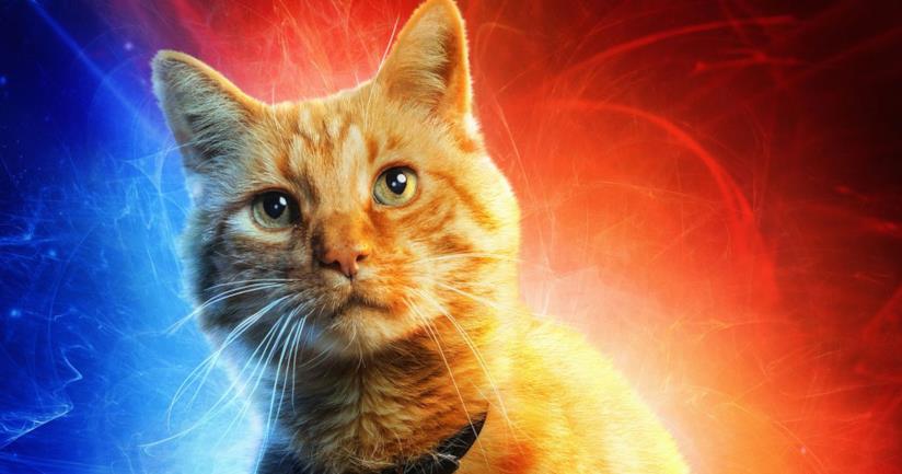Il gatto Marvel Goose: la storia dei fumetti Il gatto Goose protagonista del film Captain Marvel