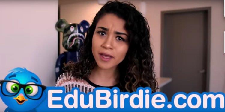 Influencer promuove su YouTube i servizi di EduBirdie YouTube sta bloccando i video di influencer che diffono i servizi offerti da EduBirdie