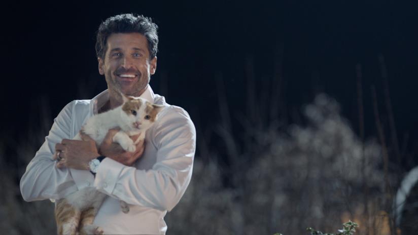 Patrick Dempsey con un gatto Patrick Dempsey nello spot vodafone