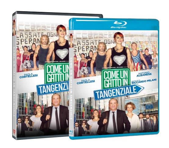 Come un gatto in tangenziale Come un gatto in tangenziale in Home Video