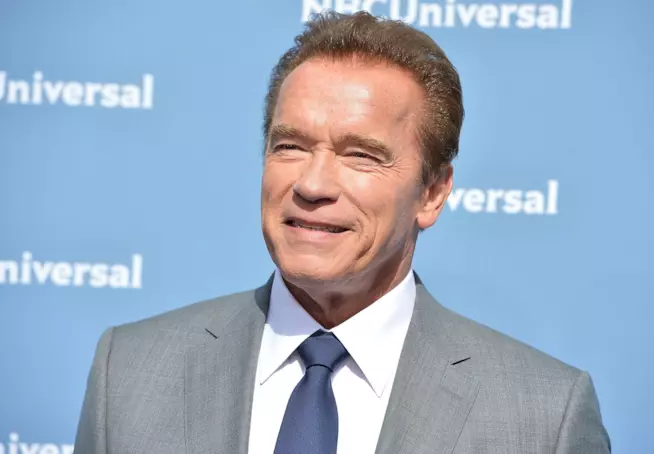 Arnold Schwarzenegger raddrizza la Torre di Pisa con Photoshop Primo piano di Arnold Schwarzenegger