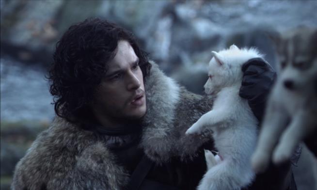 Game of Thrones 8: previsto il ritorno di Ghost, metalupo di Jon Snow Kit Harington (Jon Snow) e il cucciolo di Ghost