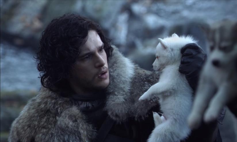 Game of Thrones 8: previsto il ritorno di Ghost, metalupo di Jon Snow Kit Harington (Jon Snow) e il cucciolo di Ghost