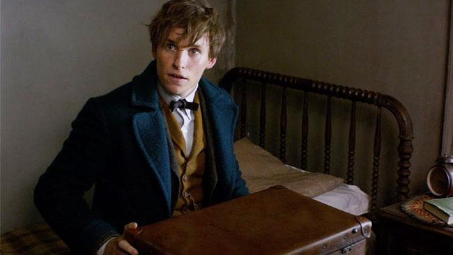 Animali Fantastici e Dove Trovarli avrebbe dovuto essere un documentario Eddie Redmayne nel ruolo di Newt Scamandro
