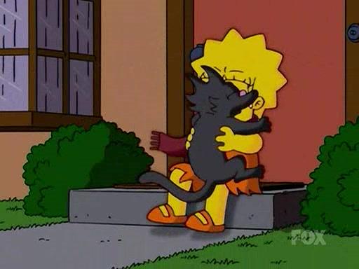 Il gatto lanciato dalla gattara a Lisa Lisa viene colpita da un gatto lanciato dalla gattara