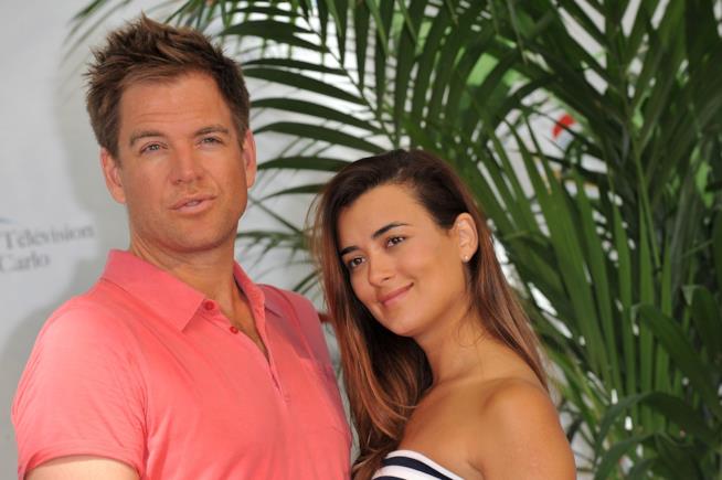 Cote De Pablo e Michael Weatherly potrebbero di nuovo essere colleghi sul set di Bull Micheal Weatherly insieme a Cote De Pablo