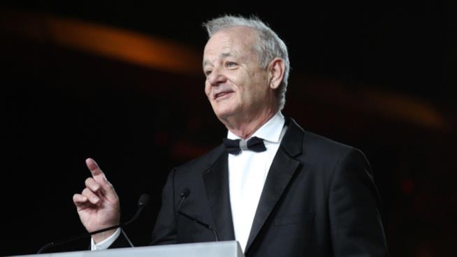 Bill Murray vince il premio Mark Twain per il suo humor Bill Murray elegantissimo ritira il premio Mark Twain