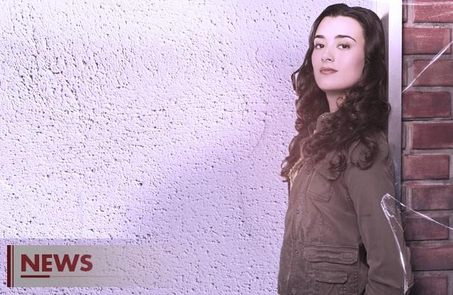 Il ritorno di Ziva, sarà vero?