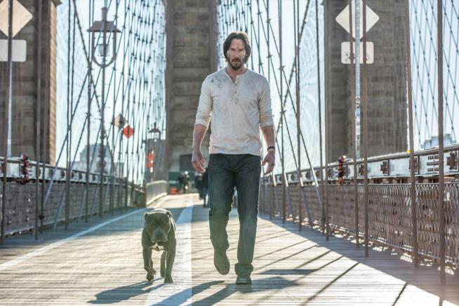 Un nuovo cane nella trama di John Wick 2 Keanu Reeves in John Wick 2