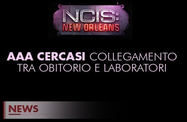 N.C.I.S. vi manda all’obitorio