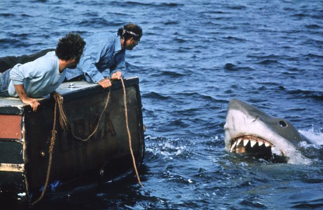 Lo squalo, dal romanzo di Peter Benchley al film di Spielberg Una scena del film di Spielberg