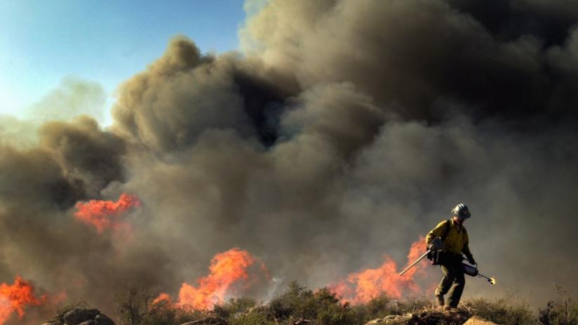 California che risale un minore