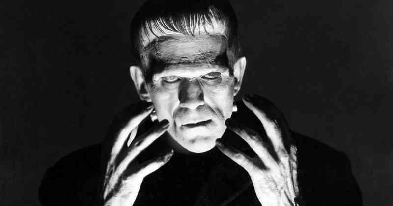 Frankenstein Boris Karloff è Frankenstein