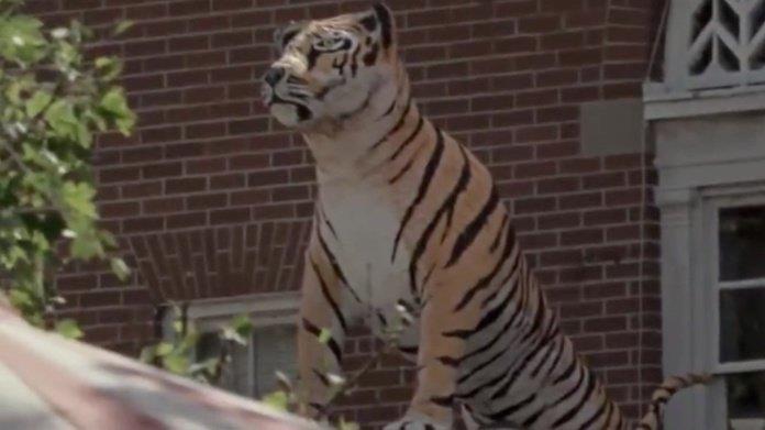 The Walking Dead: la statua in onore di Shiva The Walking Dead 9x13: la statua in memoria di Shiva