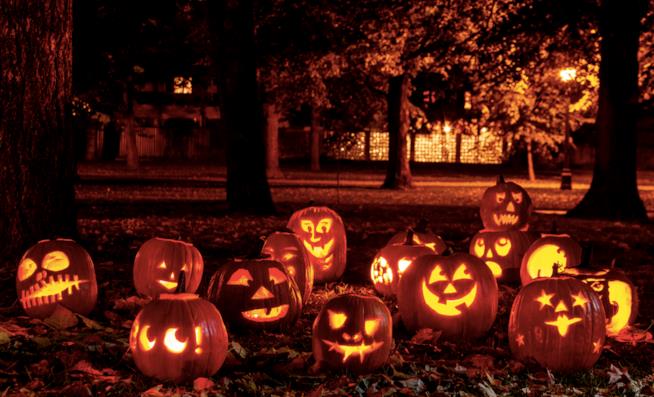 Gli eventi di Halloween 2016 Una distesa di zucche nella notte di Halloween