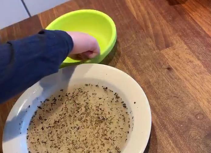 Padre spiega alla figlia perché è importante lavarsi le mani: l'esperimento diventa virale La figlia di Valokuvaaja Ari Mäkiö svolge l'esperimento sulla tensione superficiale