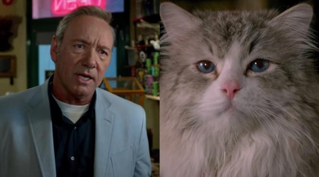 Nuove clip del film Nine Lives - Una Vita da Gatto Il gatto protagonista di Una Vita da Gatto