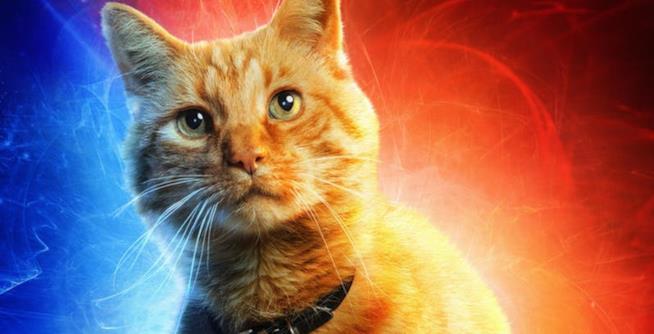 Captain Marvel: nuovi spot e nuove conferme dai giocattoli Un primo piano del gatto Goose nel poster di Captain Marvel
