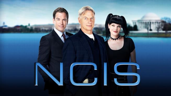Ci sarà un nuovo ingresso maschile in NCIS. Ecco chi è Un'immagine promozionale di N.C.I.S.