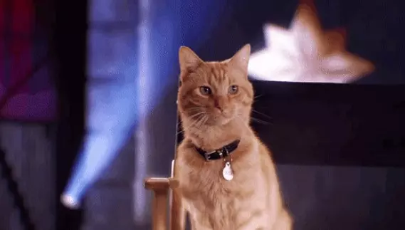Goose Il gatto alieno Goose