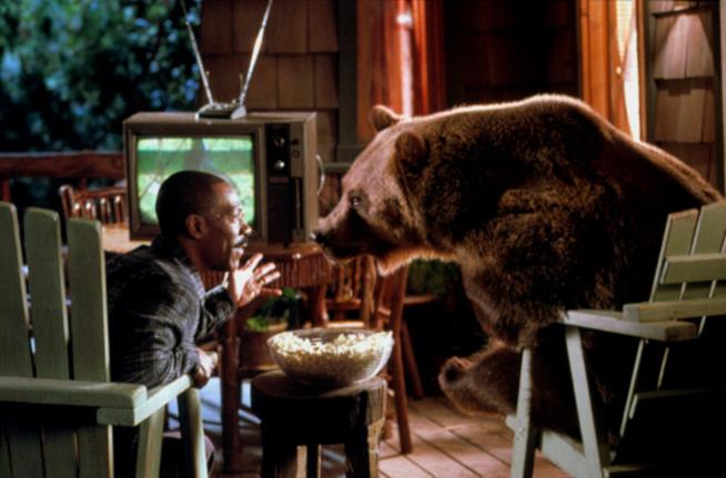 Il dottor Dolittle 2: cast e doppiatori italiani Una scena de Il dottor Dolittle 2