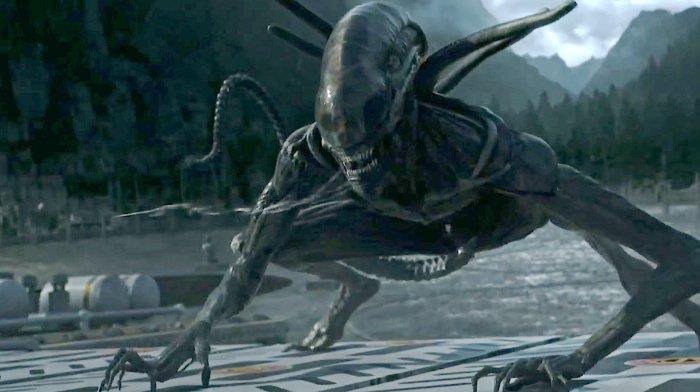 Scena del film Alien: Covenant Xenomorfo di Alien: Covenant
