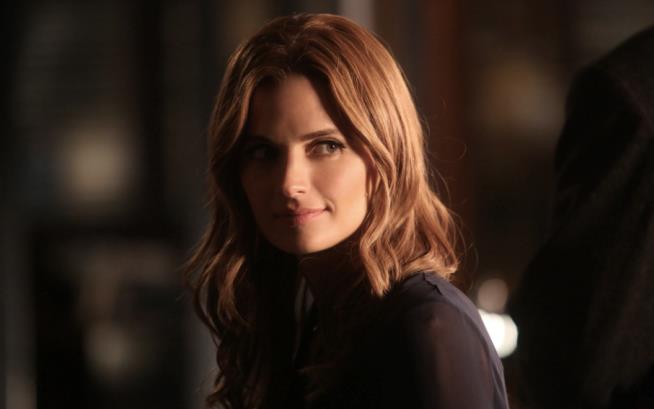 Stana Katic torna a indagare in TV Un'immagine di Stana Katic