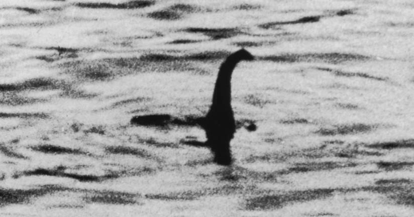 Al via l'evento Facebook per cercare il mostro di Loch Ness Un primo piano del mostro di Loch Ness, nel falso di Robert Kenneth Wilson