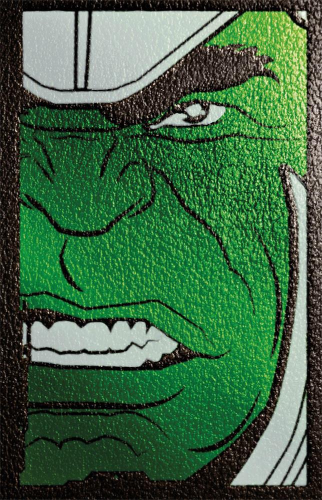 Planet Hulk Copertina con viso di Hulk
