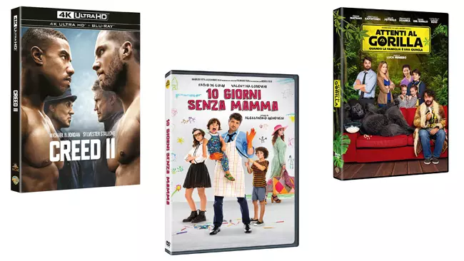 Home Video: il calendario delle uscite Warner Bros. di maggio 2019 Uscite Home Video di Warner Bros.