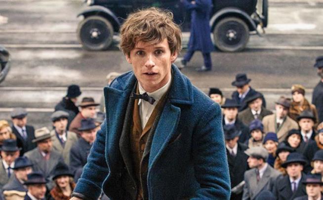 Prima immagine di Animali Fantastici e Dove Trovarli 2 Newt in una scena di Animali Fantastici e Dove Trovarli