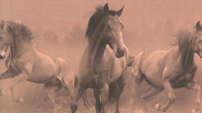 Resta la polvere, la recensione: la grande bellezza di un romanzo brutale Un dettaglio di copertina di Resta la polvere