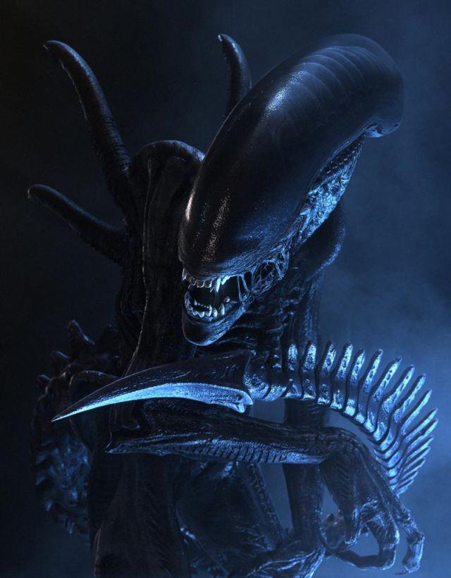 Xenomorfo Un'immagine dello Xenomorfo