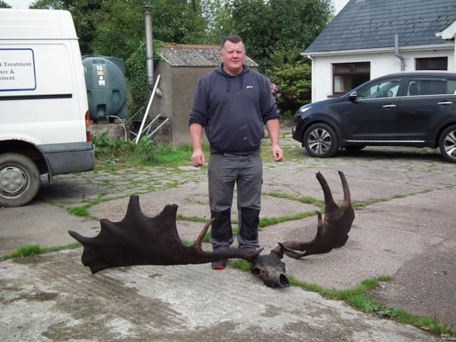 I resti di un cervo gigante estinto 10mila anni fa ritrovati in un lago dell'Irlanda del Nord Il pescatore e il suo fossile di cervo gigante