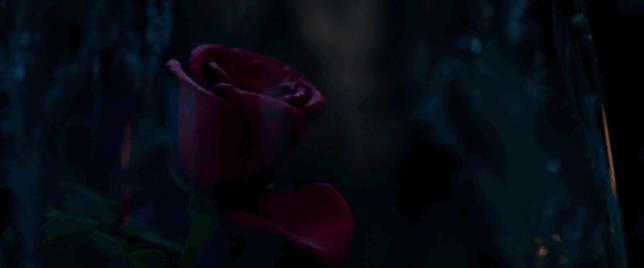 La Rosa incantata La rosa incantata perde un petalo