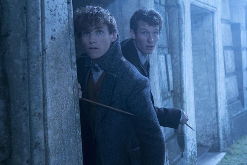 Il personaggio di Theseus Scamander tornerà anche in Animali Fantastici 3 Animali Fantastici: I Crimini di Grindelwald